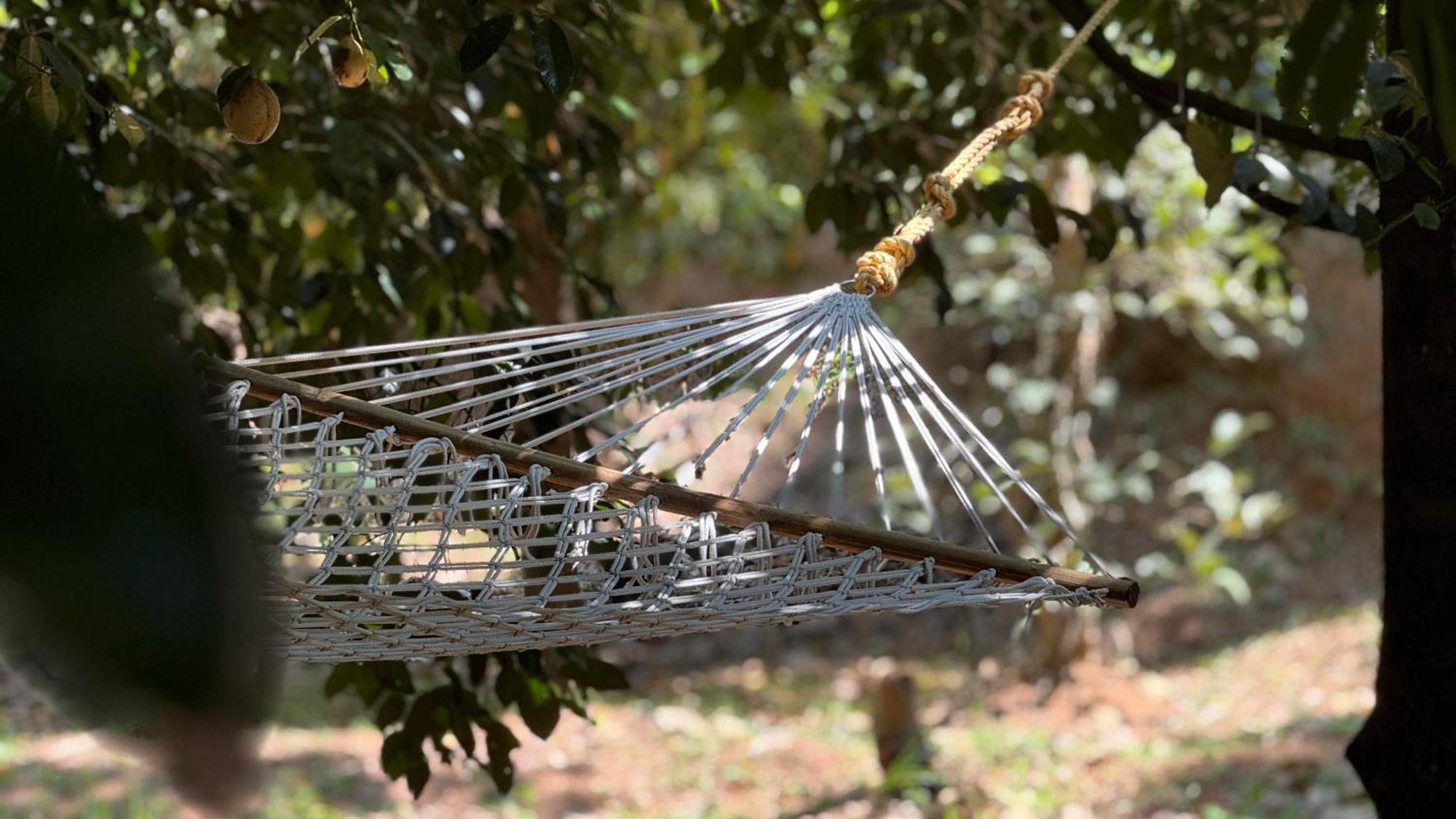 Calm Shack - 2 Bedroom-Boutique Farm Stay Munnar Exterior foto
